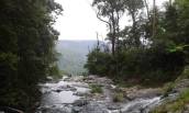 At the top of Purlingbrook Falls